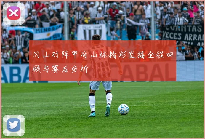 冈山对阵甲府山林精彩直播全程回顾与赛后分析