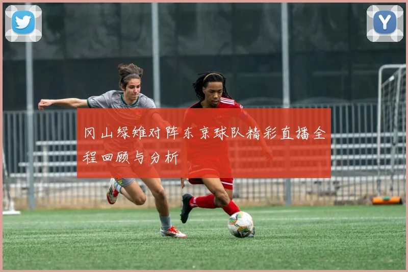 冈山绿雉对阵东京球队精彩直播全程回顾与分析