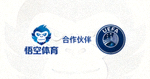 悟空体育合作伙伴 - 欧洲足球协会联盟UEFA标志
